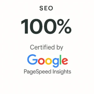 100% SEO certified by Google Page Speed insights