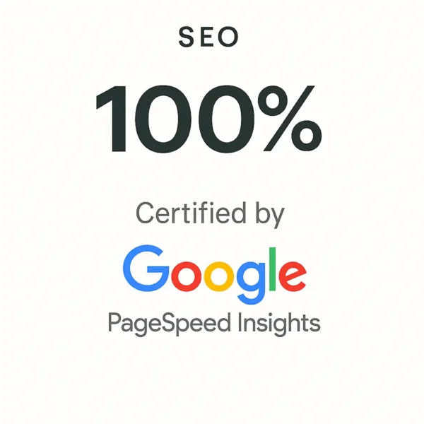 100% SEO certified by Google Page Speed insights
